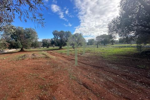 Terra a Carovigno, Brindisi, Carovigno - € 30.000 | Ref: Terreno Prete - foto 7
